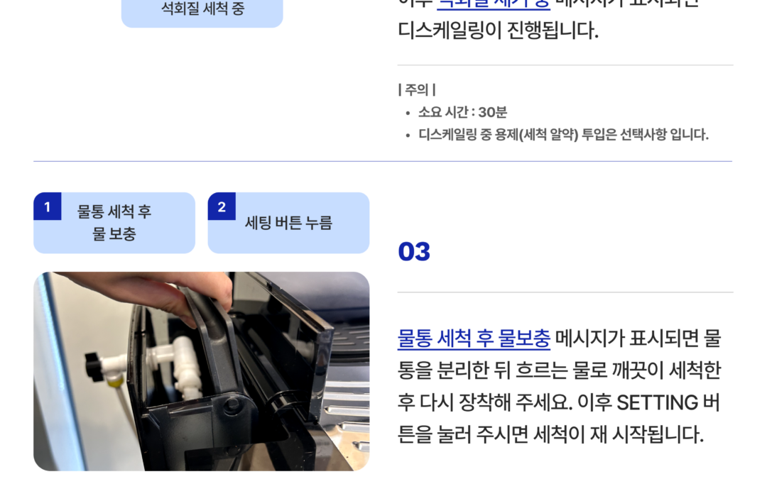 [관리 방법] 디스케일링 방법 알아보기